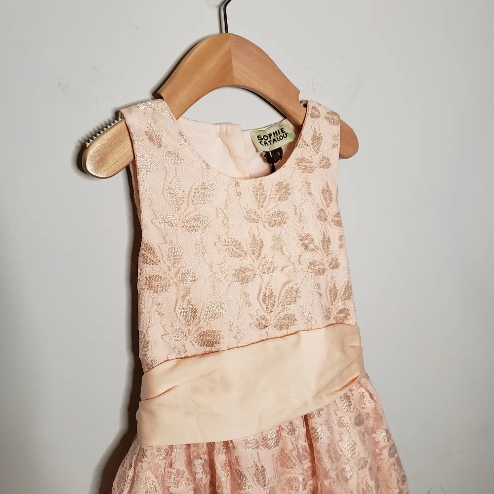 NWT Sophie Catalou Size 4 Toddler Girl Pink Floral Lace Party Dress